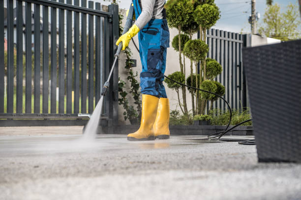 Best Roof Power Washing Services  in Riva, MD
