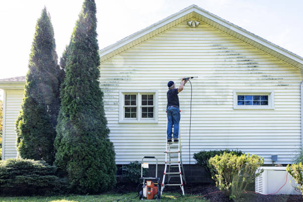 Best Roof Power Washing Services  in Riva, MD